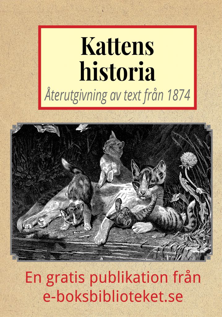 Book Cover: Kattens historia – Återutgivning av text från 1874
