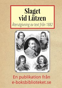 Book Cover: Slaget vid Lützen