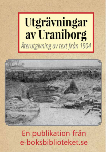 Book Cover: Utgrävningar av Uraniborg