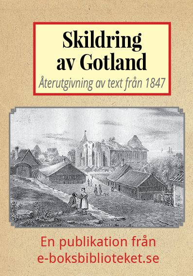 Skildring av Gotland och Visby. Återutgivning av text från 1847
