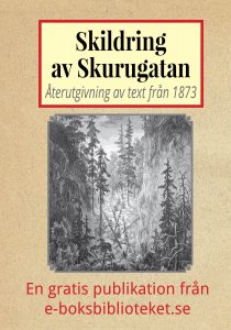 Book Cover: Skildring av Skurugatan