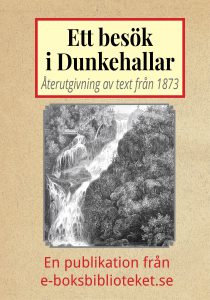 Book Cover: Ett besök i Dunkehallar