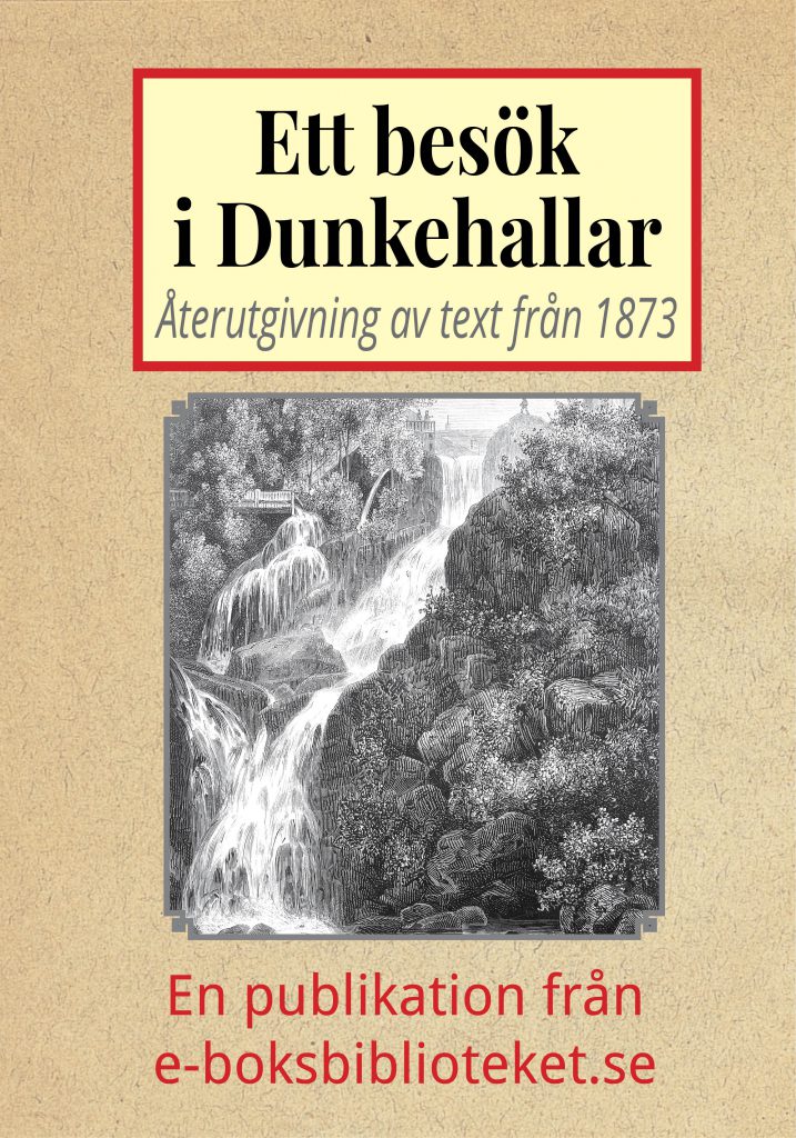 Book Cover: Ett besök i Dunkehallar