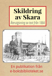 Book Cover: Skildring av Skara år 1884